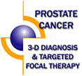 Prostate Cancer - 3-D Diagnosis and Targeted Focal Therapy